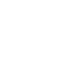 Pizolato-logo.png