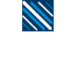 grupo-polo-white.png